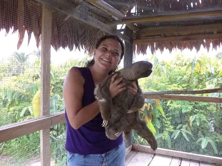 Amazon Camp Tours — perezoso