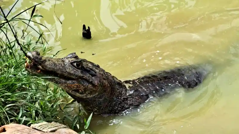 Aventura Expedición — avistamiento de animales