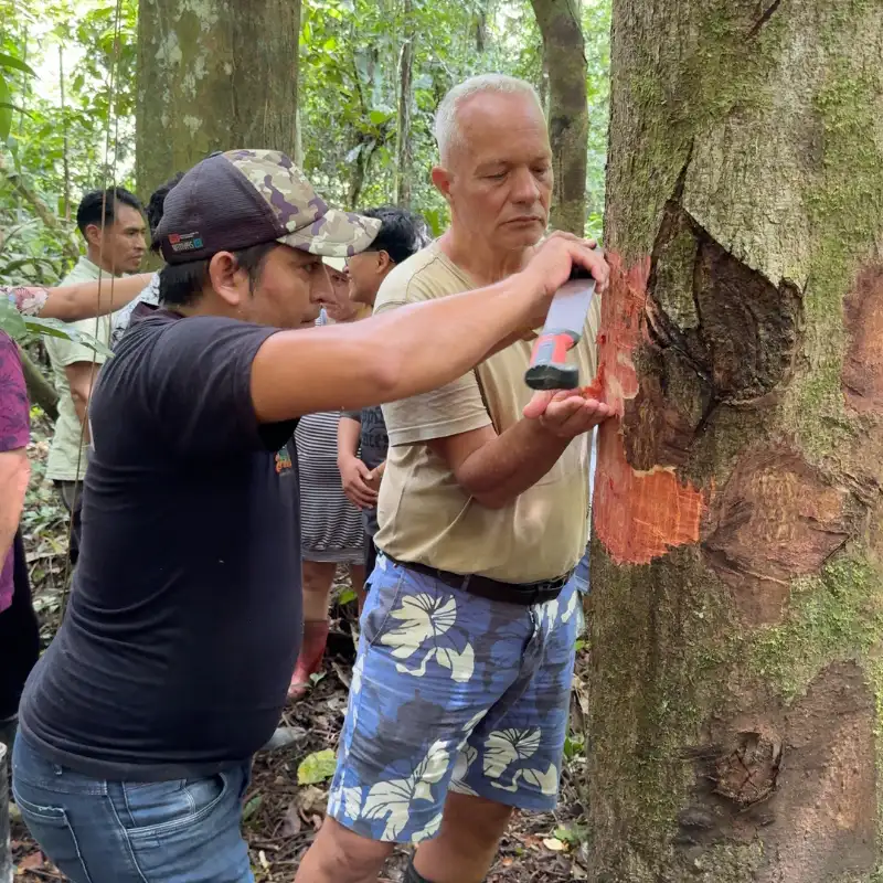 Amazon Capinuri Expeditions — aventura en el río