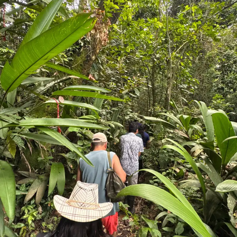 Amazon Capinuri Expeditions — fauna amazónica