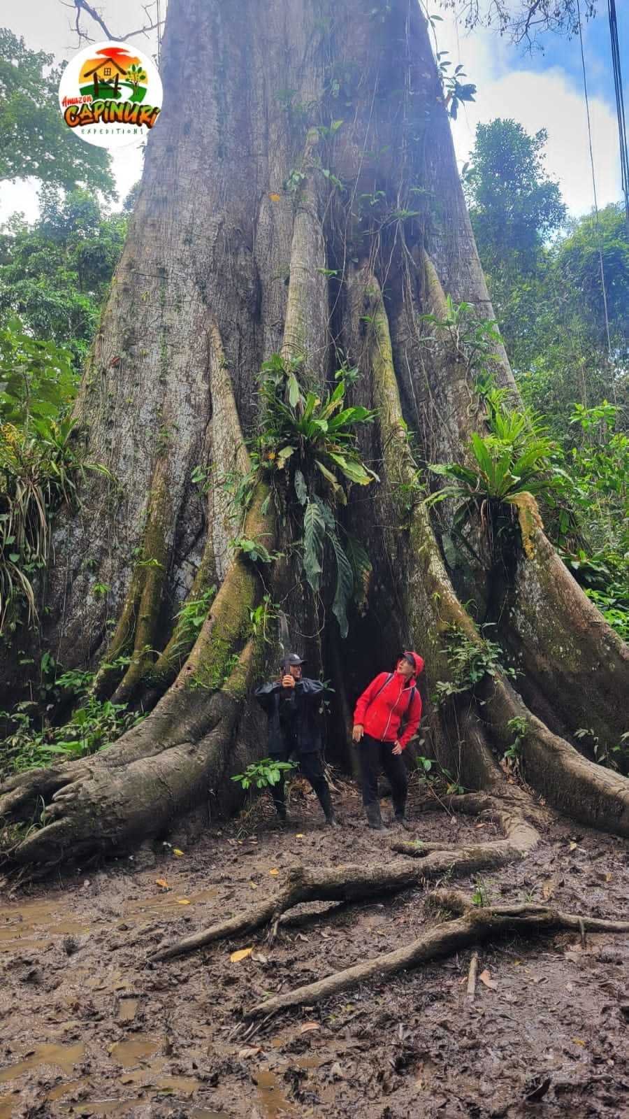 Amazon Capinuri Expeditions — selva